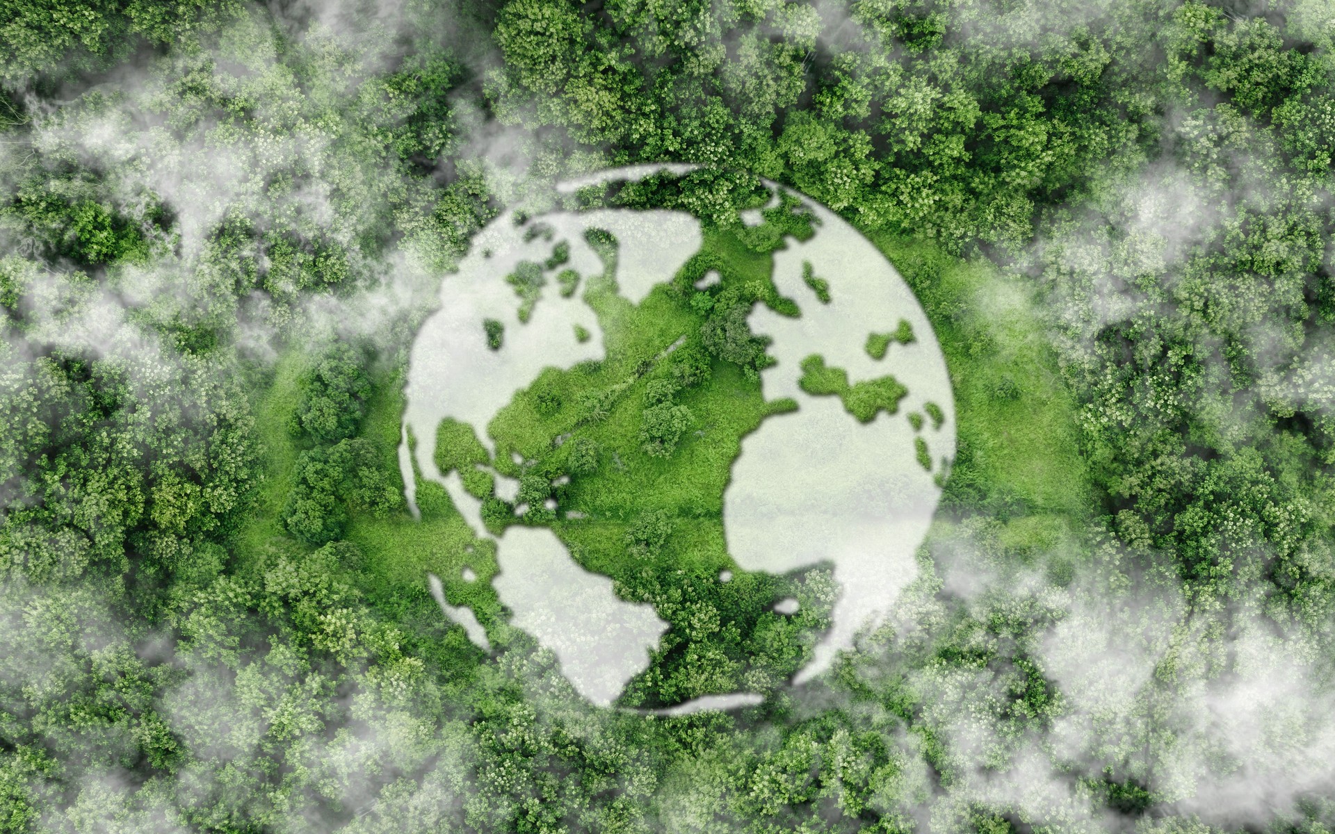 Top view green forest with globe earth. Sustainable Environment concept. Carbon reduction emissions target. Green energy is eco-friendly. Save Earth or World Earth Day Concept. Environmental Care